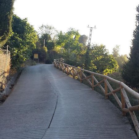 Alojamiento Rural La Casilla Cazorla Exteriér fotografie
